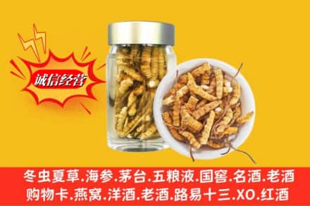 那曲比如县回收散虫草