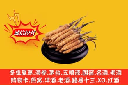 那曲比如县高价上门回收虫草多少钱每克